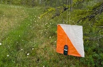 Siste treningsløp før sommeren