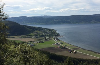 Ny hjemmeside for Viggja IL
