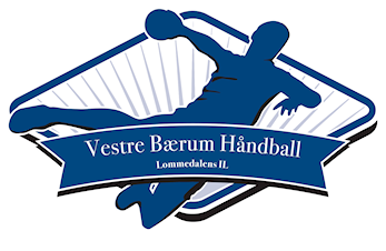 Håndballgruppen etablere et sportslig utvalg