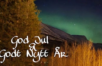God jul og godt nytt år!