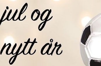 Årsmøte 2019