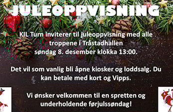 JULEOPPVISNING