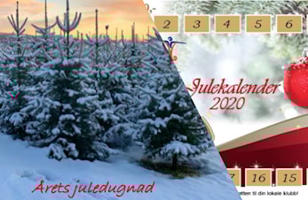 JULEDUGNAD