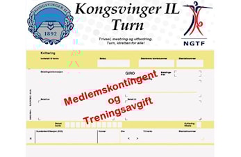 Medlemskontingent og treningsavgift