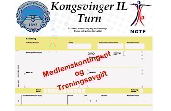 Medlemskontingent og treningsavgift