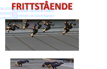 FRITTSTÅENDE