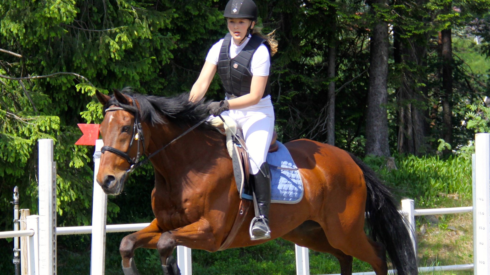 Invitasjon til klubbmesterskap i dressur og sprang!