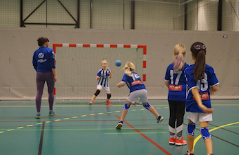 Årlig møte håndball