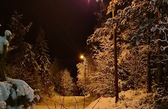 Vinter aktiviteter