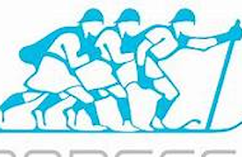 Skilisens fra 13 år