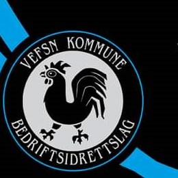 Vefsn kommune B.I.L.
