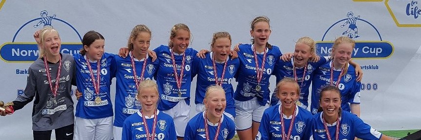 Årsberetningen for 2017