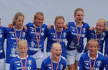 Årsberetningen for 2017
