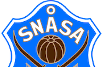 Lyst til å være med i styret i Snåsa IL