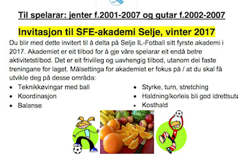 SFE-akademi Selje vinter 2017