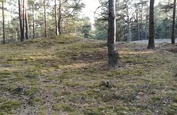 Usynlig-O: APP og treningsmulighet