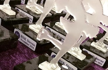 Stevne Norges Cup i Bærum ishall 9. - 10. februar 2019
