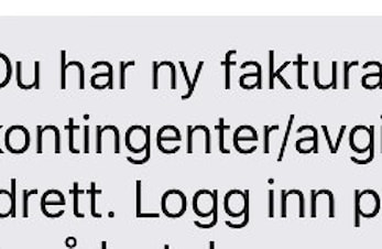 Økonomisk støtte til medlemskontingent og/eller treningsavgift