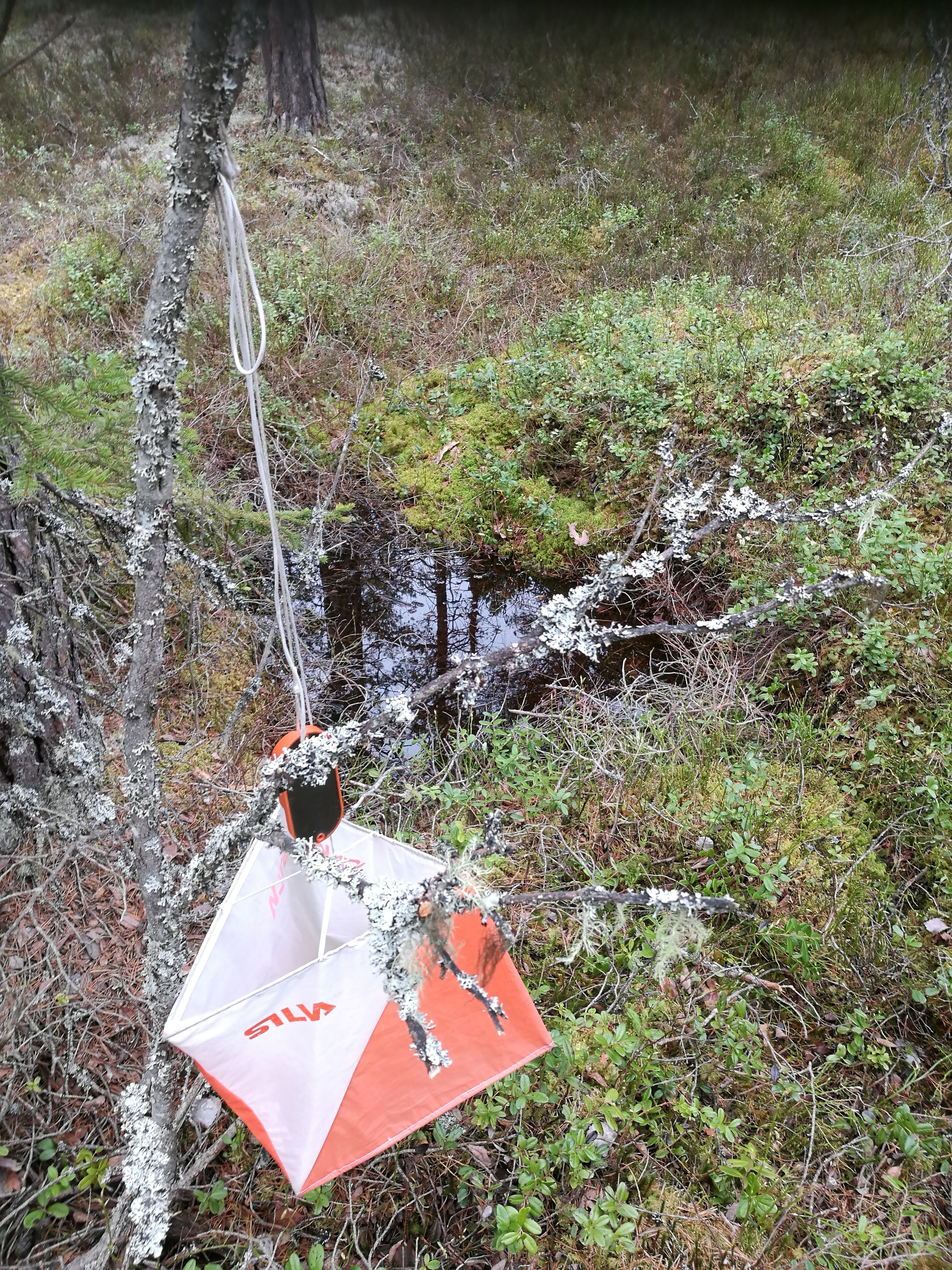 Innkalling til årsmøte i Odal OL 2021