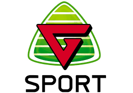Handledag G-Sport
