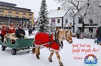 God Jul og Godt Nytt År!