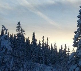Øverbygda IL stiller lag i NM!