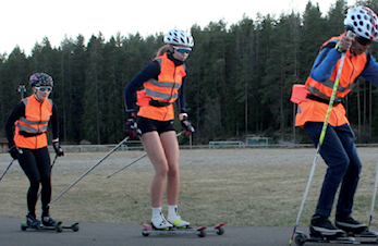 RULLESKIVETTREGLER