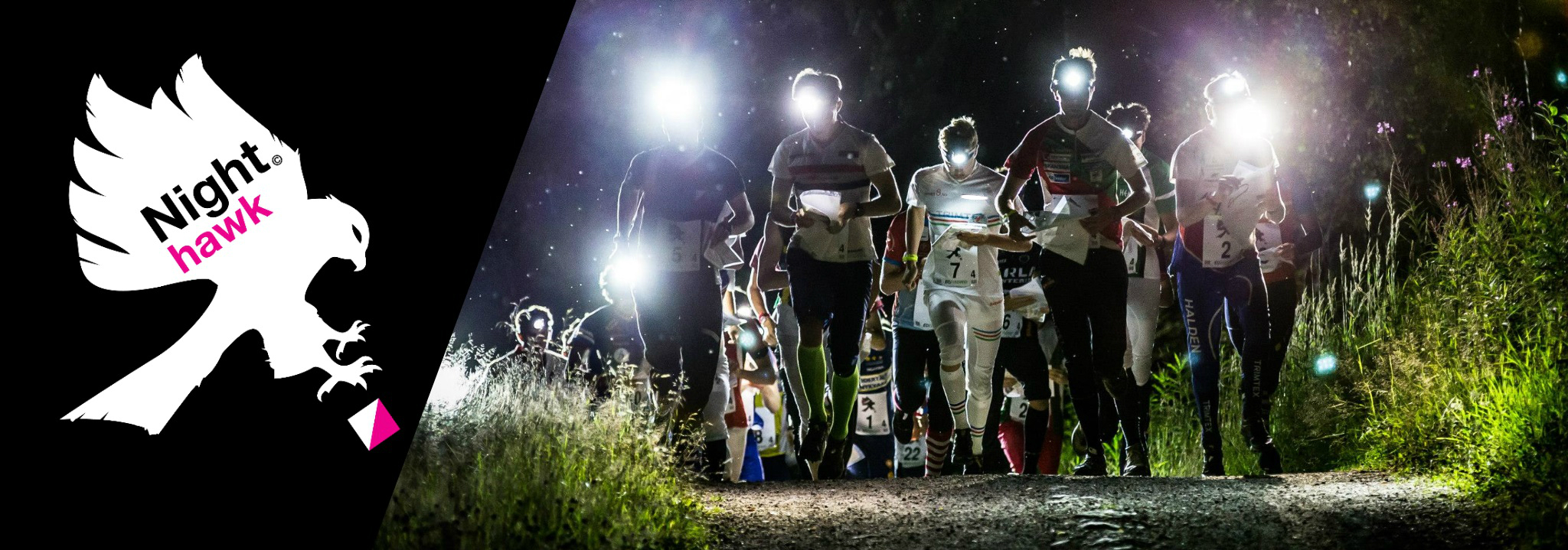 Night Hawk