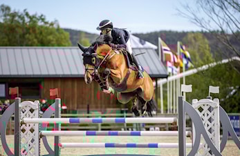 - Fasilitetene er fantastiske