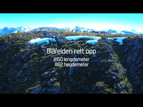 Blåfelden Rett Opp.