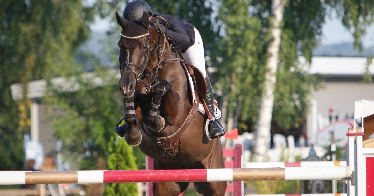 Utsetter CSIO3* til august