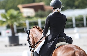 Reviderte forbuds og karenstidsbestemmelser hest
