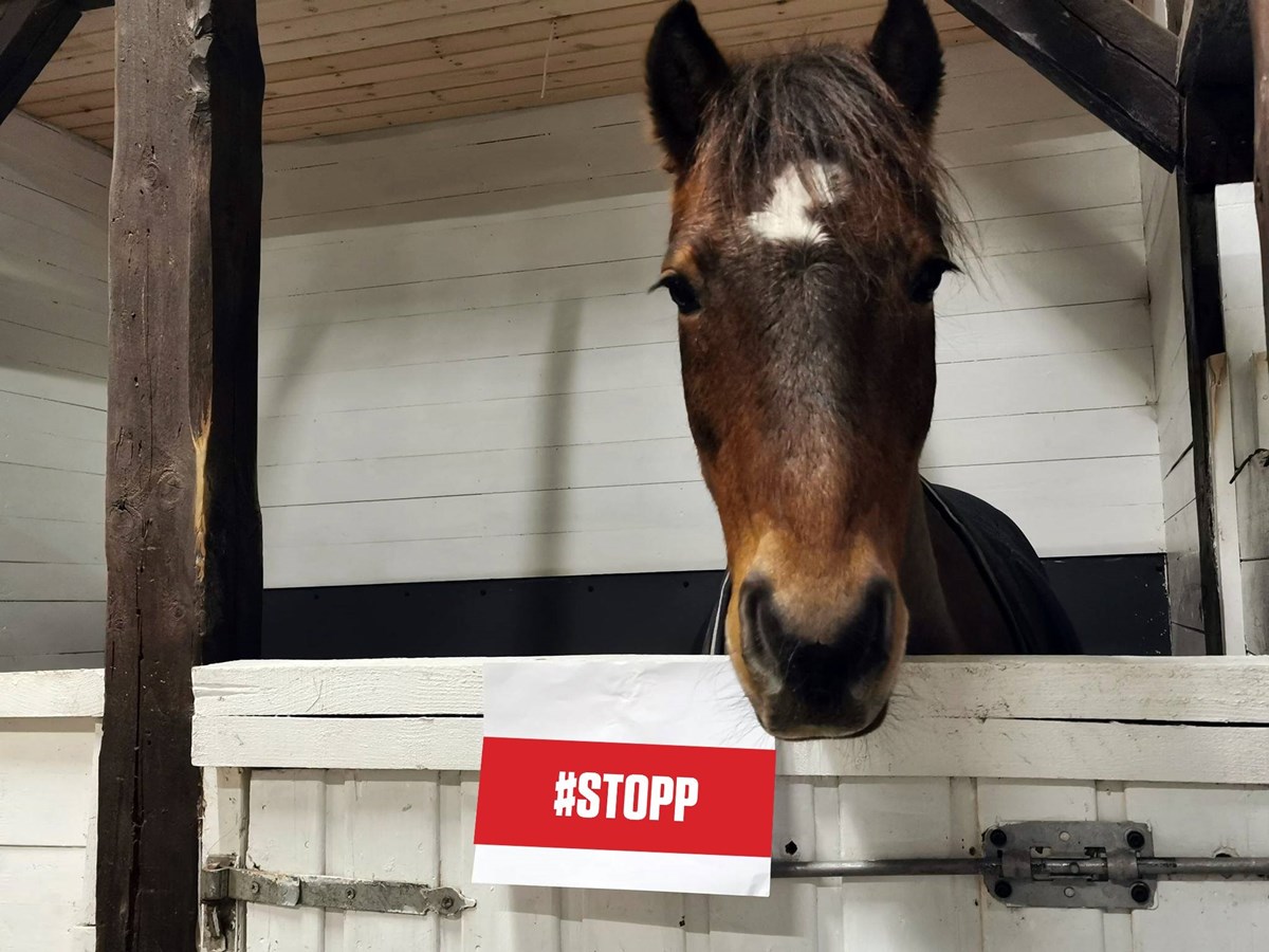 Norsk idrett sier #STOPP til alle former for diskriminering