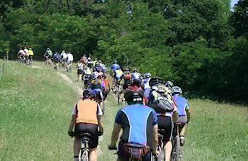 - Kongsvingerrittet 2024