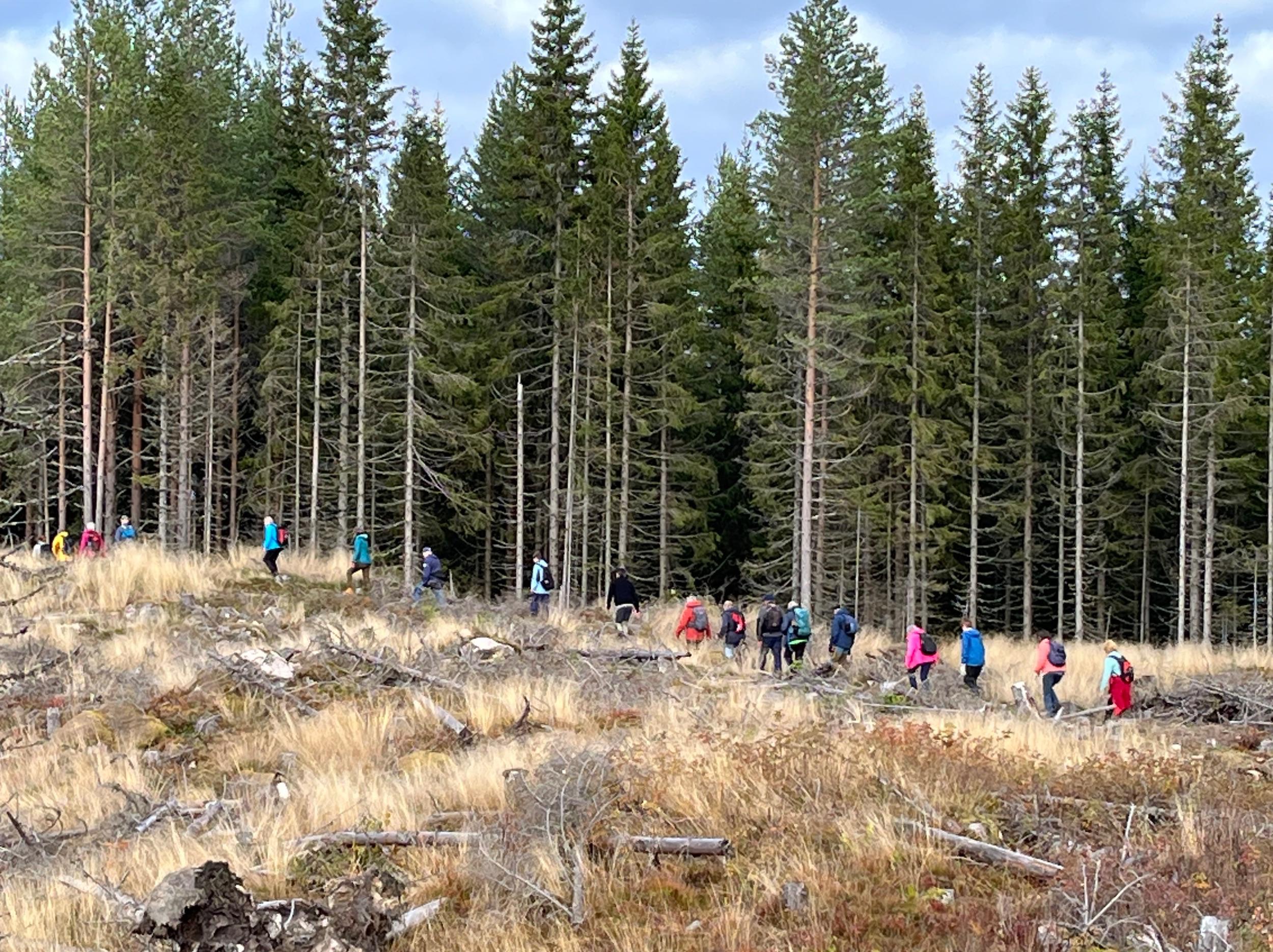 Image for - Ti på topp avslutning Elverum 2025