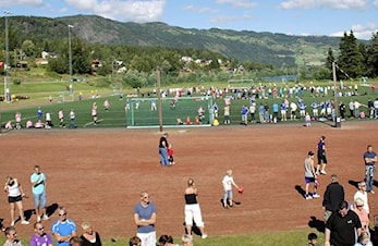 Ål Cup Fotball