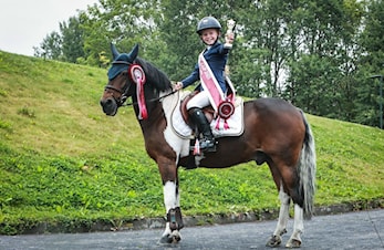 Startsignalet har gått for Baltic Cup på hjemmebane