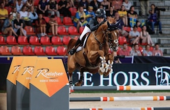 Det ligger i slekten