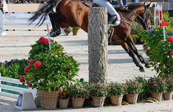 Endringer i påmeldingsgebyr til internasjonale stevner