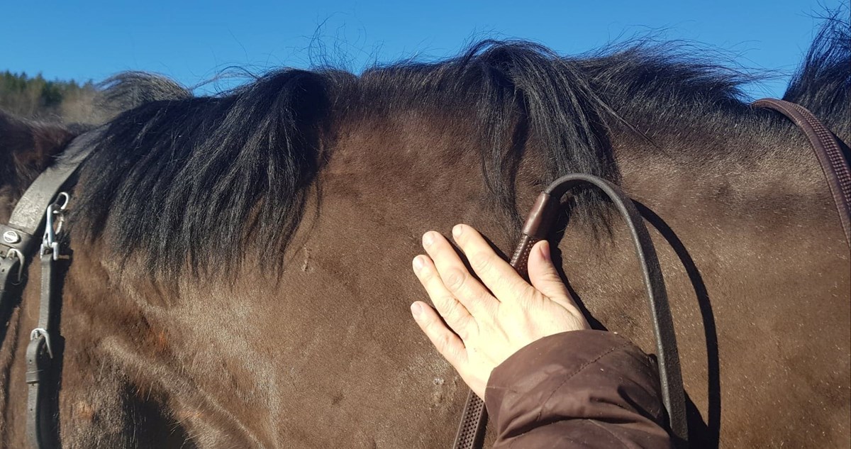 Ikke få panikk - ta ansvar i stedet