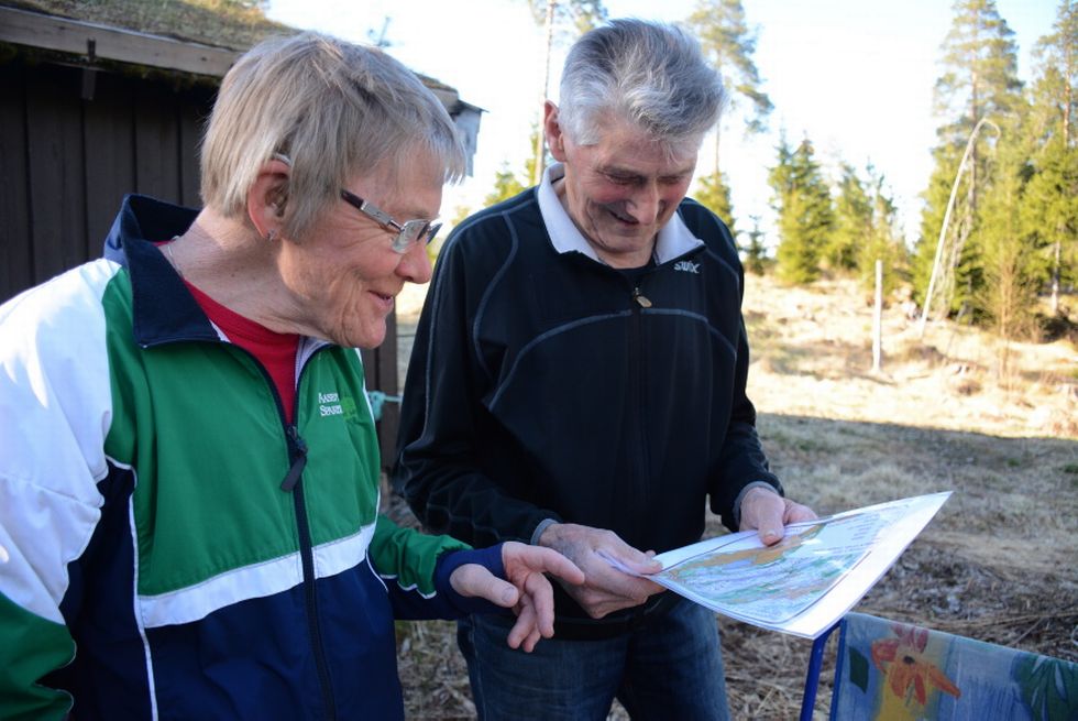 Bygd mot bygd i skogen