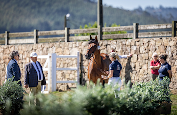 Alt klart for årets mesterskap
