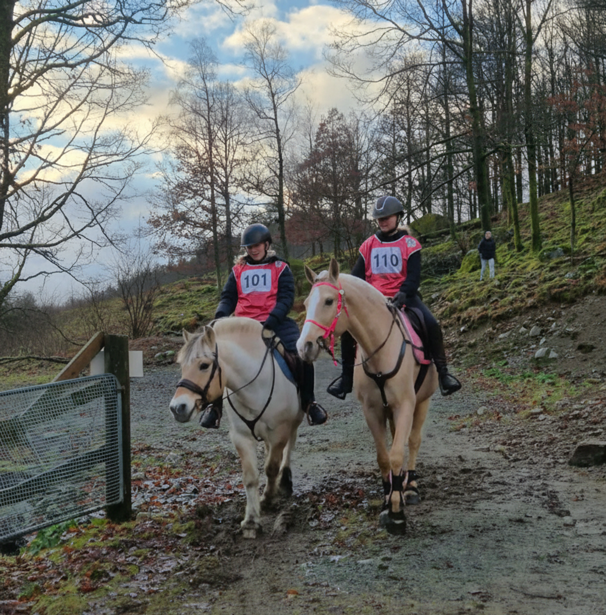 Image for Førjulsstemning og distanseglede