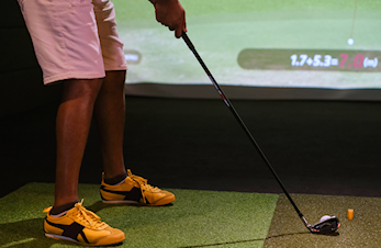 - Seriespill i Simulatorgolf