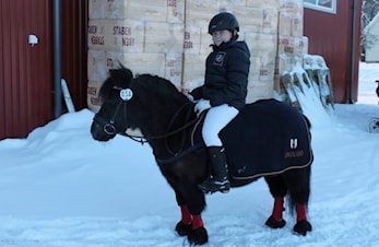 Vi trenger flere slike stevner