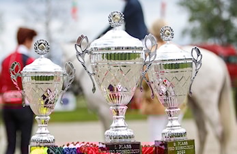 Statutter for FERD Rideskolecup er lagt ut