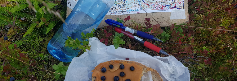 Sommerløpene i Melhus