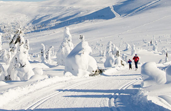 Sørfjellrennet 2022