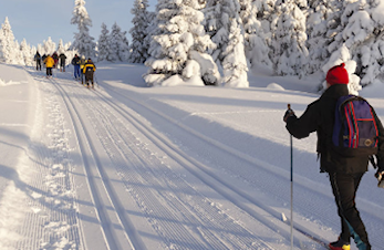 24 Timers Renn - Snåsa med og mot Grong!