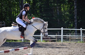 Banetrening i sprang